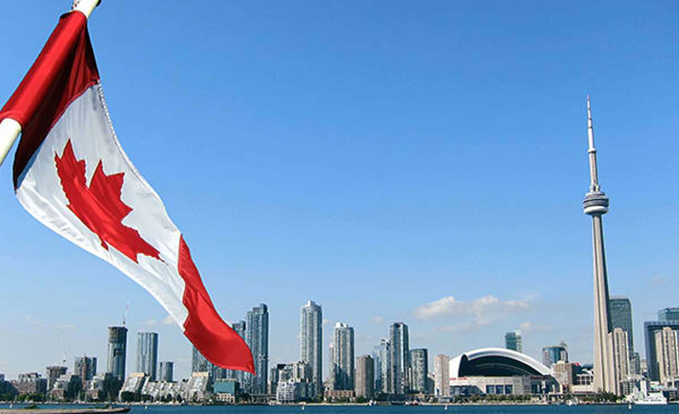 overseas education consultants